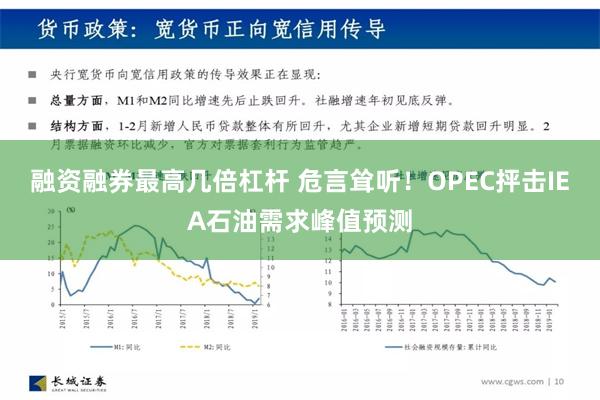 融资融券最高几倍杠杆 危言耸听！OPEC抨击IEA石油需求峰值预测