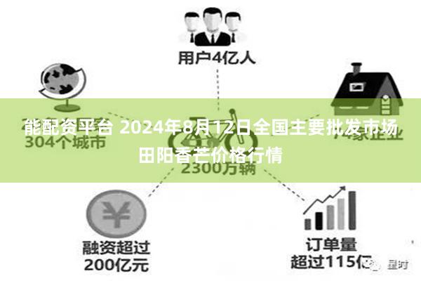 能配资平台 2024年8月12日全国主要批发市场田阳香芒价格行情