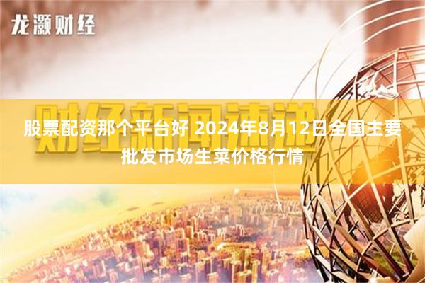 股票配资那个平台好 2024年8月12日全国主要批发市场生菜价格行情