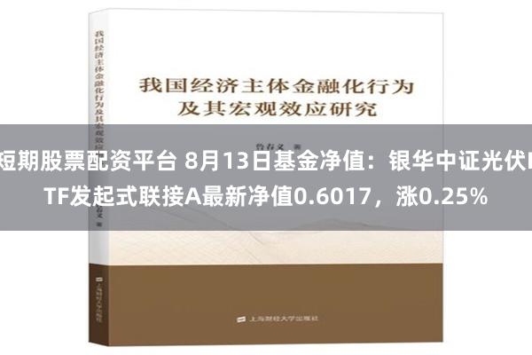 短期股票配资平台 8月13日基金净值：银华中证光伏ETF发起式联接A最新净值0.6017，涨0.25%