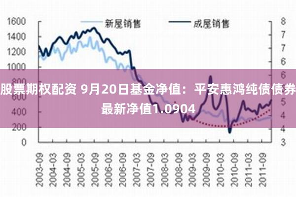 股票期权配资 9月20日基金净值：平安惠鸿纯债债券最新净值1.0904