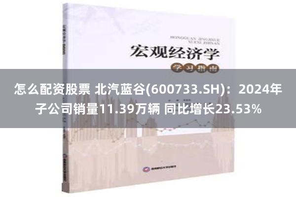 怎么配资股票 北汽蓝谷(600733.SH)：2024年子公司销量11.39万辆 同比增长23.53%