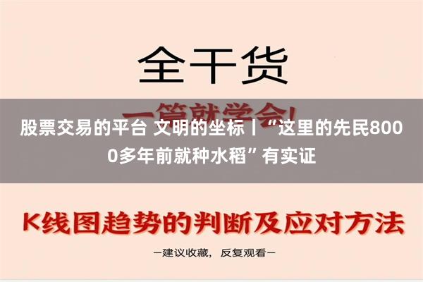 股票交易的平台 文明的坐标丨“这里的先民8000多年前就种水稻”有实证