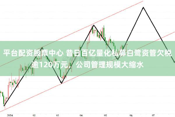 平台配资股票中心 昔日百亿量化私募白鹭资管欠税逾120万元，公司管理规模大缩水